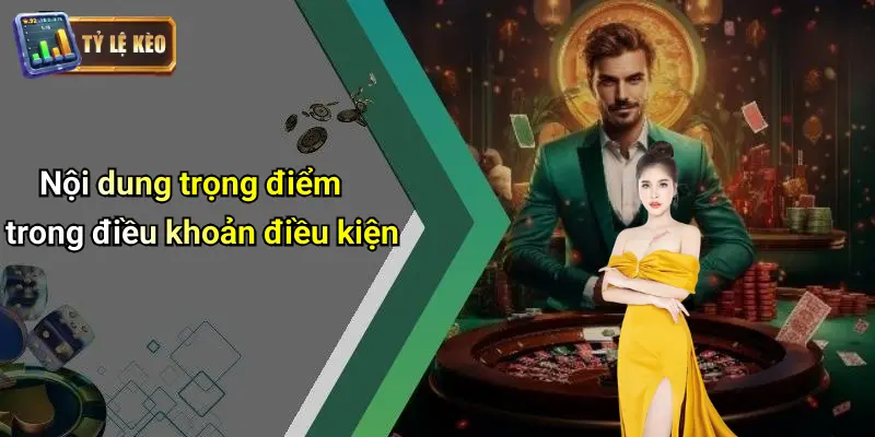 Điều Khoản Điều Kiện