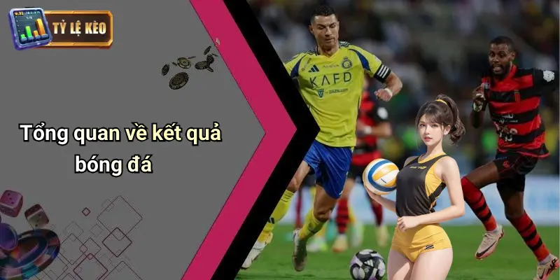 Kết Quả Bóng Đá 28 Kết Quả Bóng Đá